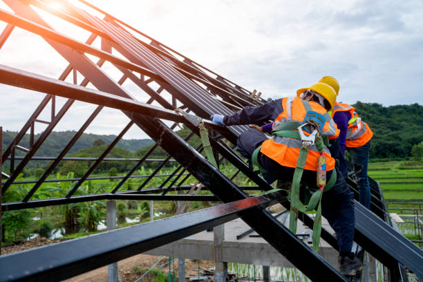 Best Roof Restoration Services  in Monongah, WV