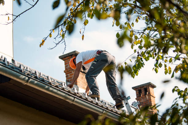 Best Residential Roof Replacement  in Monongah, WV